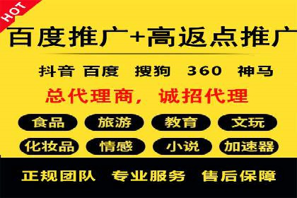 某企业通过SEM实现品牌与销售双增长的案例